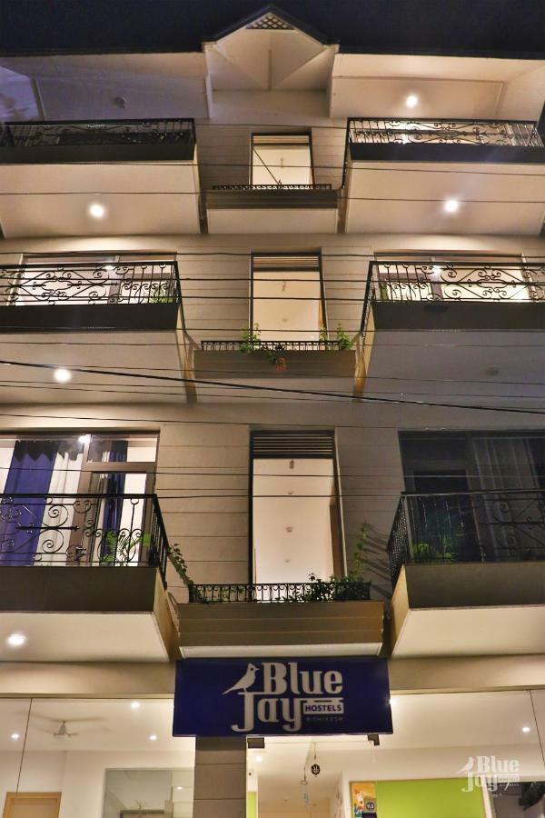 The Blue Jay Hostel - Dorms & Rooms Rishikesh Ngoại thất bức ảnh