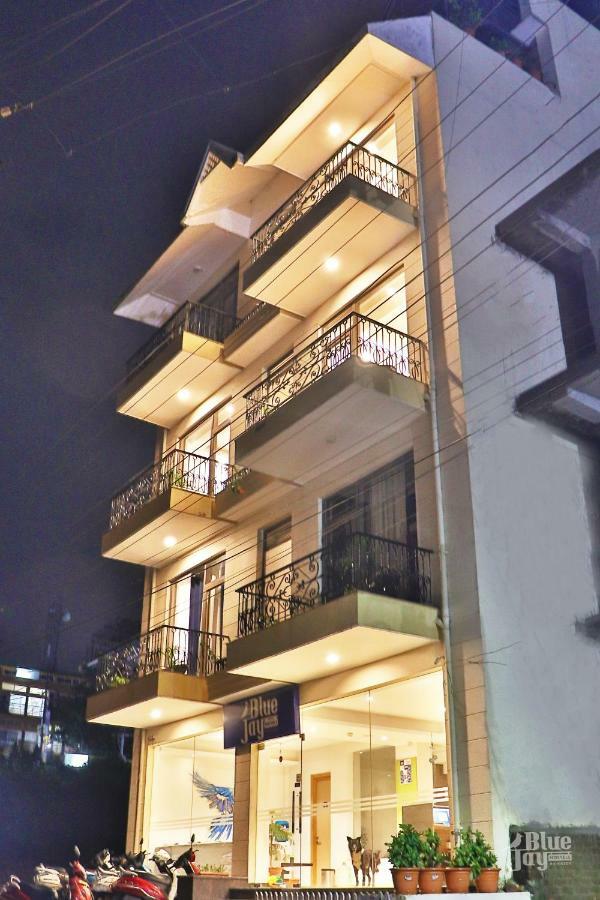 The Blue Jay Hostel - Dorms & Rooms Rishikesh Ngoại thất bức ảnh